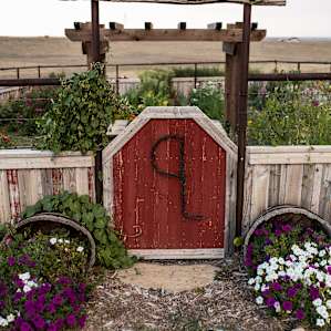 Home on the Range