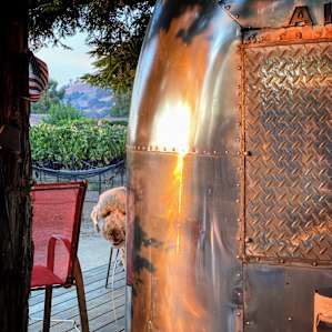 Camp - Airstream Among the Vines