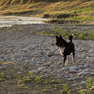 Early morning walk