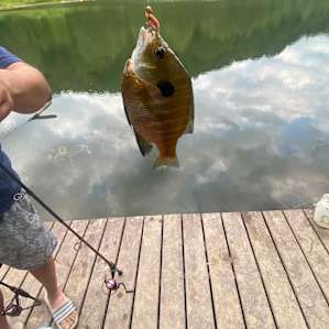 Lake Cabin