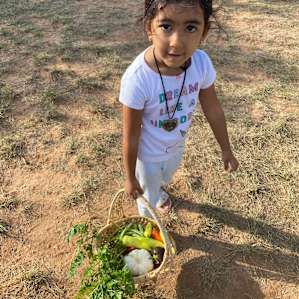 Picked fresh vegetables from Deborah’s
