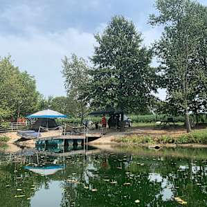 Willow City Farm