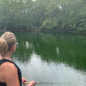 Willow City Farm's Private Escape