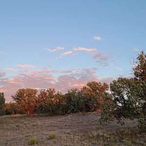 20 minutes to the Petrified Forest