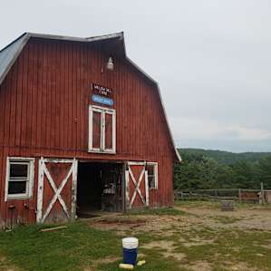 Willow Hill Farm Cabins