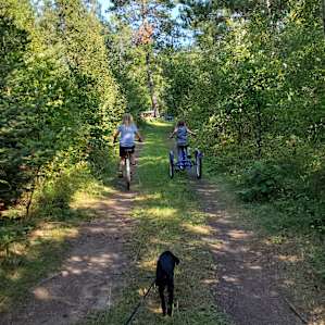 Norske Sites (nettsteder)