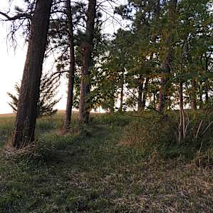 Pretty prayer trail.