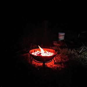 Camp on Clover Bee Farm