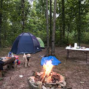 Great campsite with table, trash can, and bench provided.