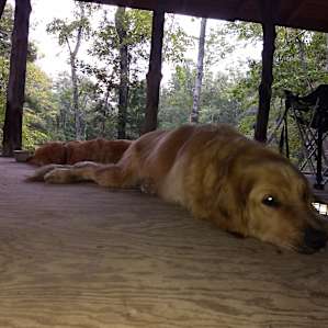 Completely relaxed and lazy
