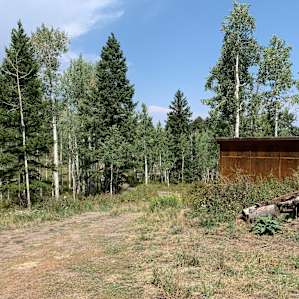 Camp David in the Forest
