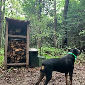 Ample firewood, kindling, lighter + trash and recycling!