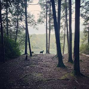 Chill spot