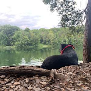 Chill Spot