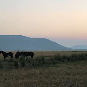 Clayton Acres