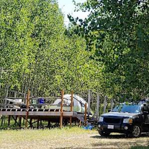 Tucked up into the Aspen trees
