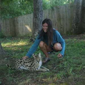 Rescue Zoo camping