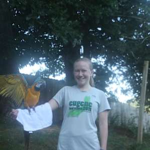 Rescue Zoo camping