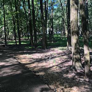 Hiking at Persimmon Hill