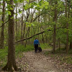 The walking path/nature trail is very well maintained and makes for an easy stroll.