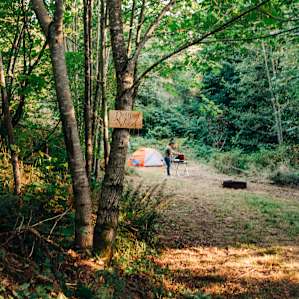 Nestled in the woods!