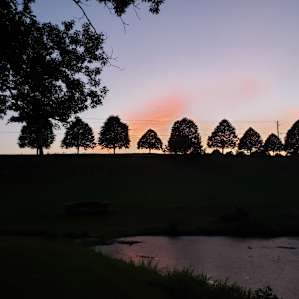 Pond Side Tent Site