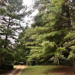 McCully Heritage Project pond site