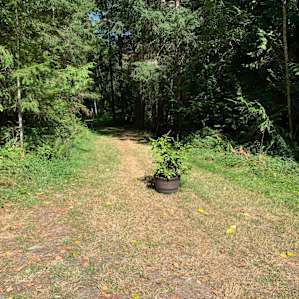 Trail to campsite
