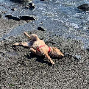 Fun times at the beach