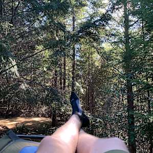 View from the den