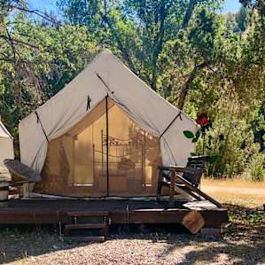 Glamping Tents on 40 acre ranch!