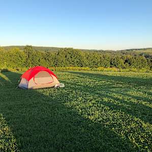Tent in the morning light.