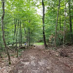 Road down to the site