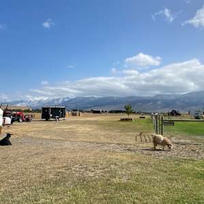Camp Chicory in Paradise Valley