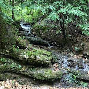 Eastern Highland Rim Adventure