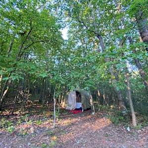 Set up the tent in the woods a few yards from the campfire