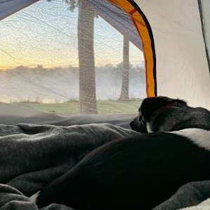Camp at a Working Organic Farm
