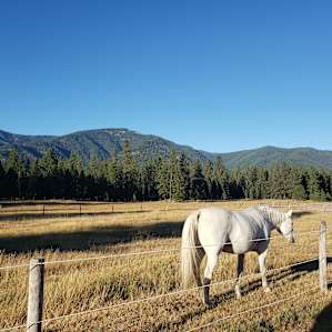Green Acres Ranch A Place of Beauty