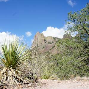 The entrance to Big Bend National Park is only 3 miles away!