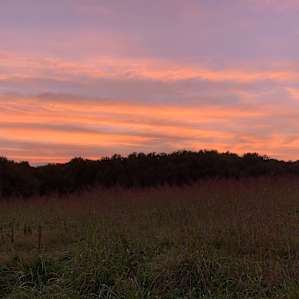 Big Field