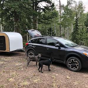 Dogs loved the campsite and checking out the deer that passed though.