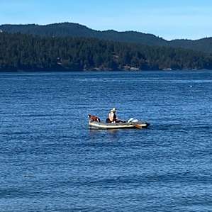 Pampered Glamping on Seal Cove