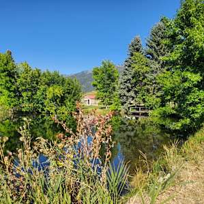 Mere's Magic Rainbow Trout Farm