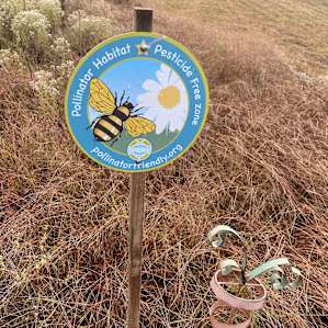Pollinator friendly habitat