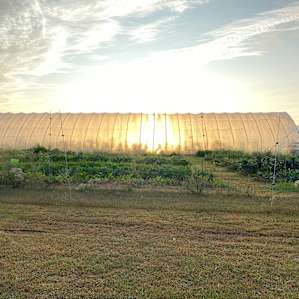 Hoophouse