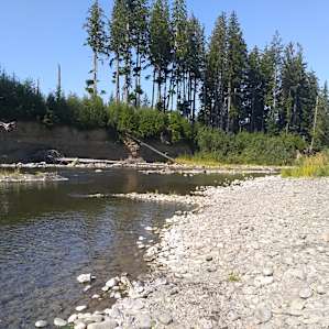 Looking downriver