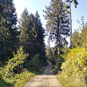 The loop of campsites