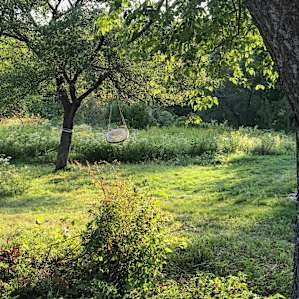 Lovely afternoon light.