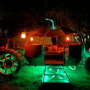 Dome Asylum Sweet Orchard Spot