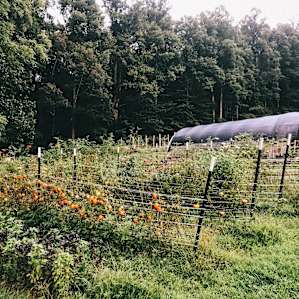 Family Camp at Pucker Up Berry Farm